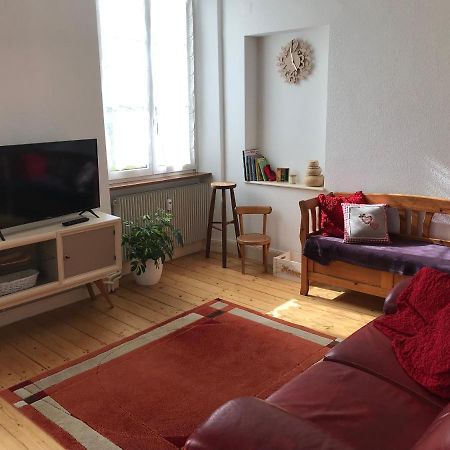 Le Clos Des Iris - Gite Rural 95 M2 Tout Confort En Alsace Bossue Domfessel Eksteriør billede