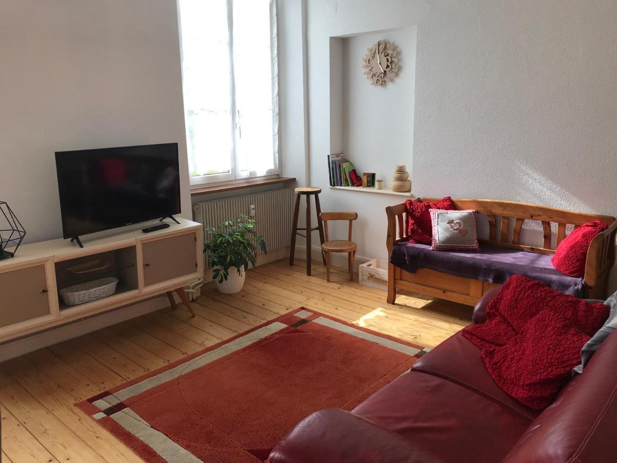 Le Clos Des Iris - Gite Rural 95 M2 Tout Confort En Alsace Bossue Domfessel Eksteriør billede